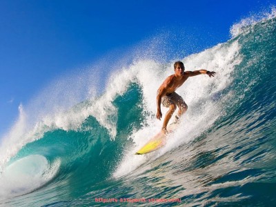 833体育直播-体育健身器材店的详细介绍与使用建议